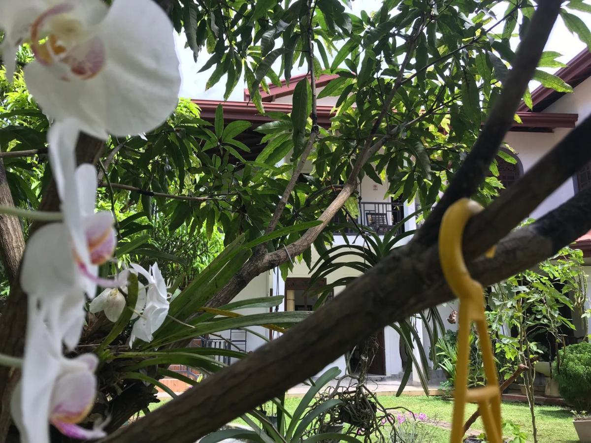 Green Edge Residences Dambulla Zewnętrze zdjęcie