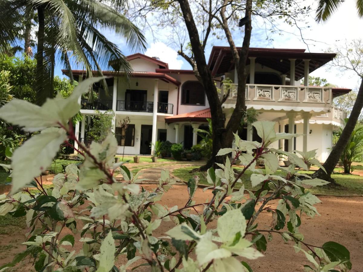 Green Edge Residences Dambulla Zewnętrze zdjęcie