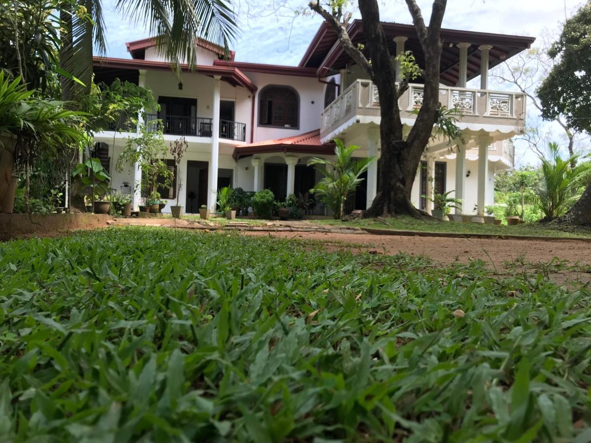 Green Edge Residences Dambulla Zewnętrze zdjęcie